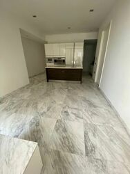 Marina Collection (D4), Condominium #588404891